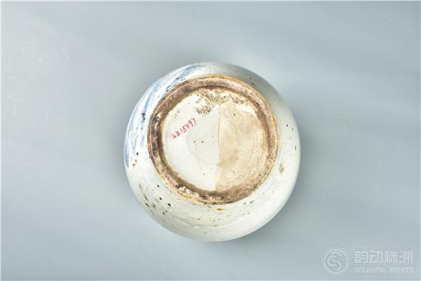 ZZ15097-F-01.jpg