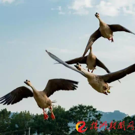 1568774406645.png