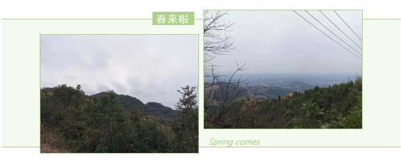 微信截图_20200227171816.jpg