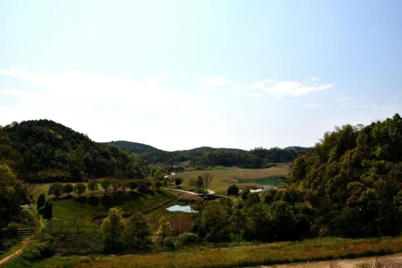 88.jpg
