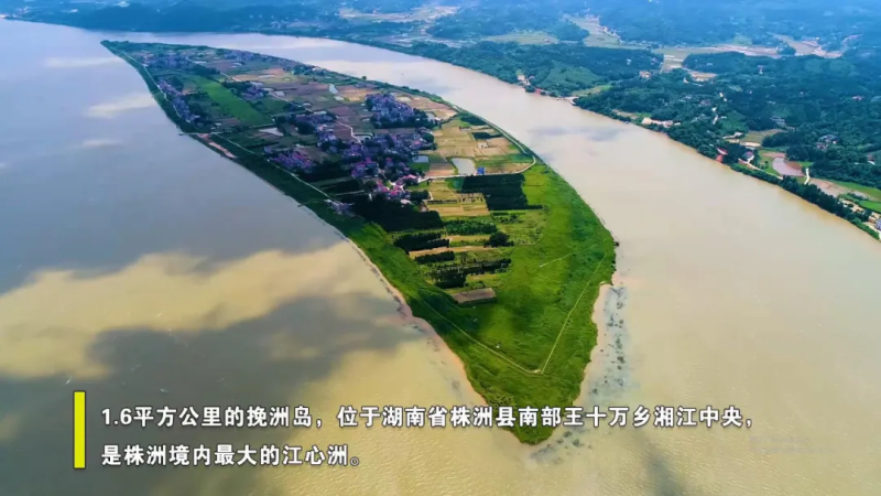 微信图片_20200528162435.png