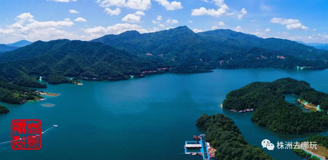 微信图片_20200605094609_副本.gif