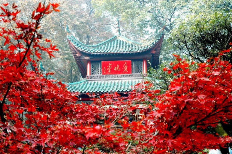 微信图片_20201030152945.png