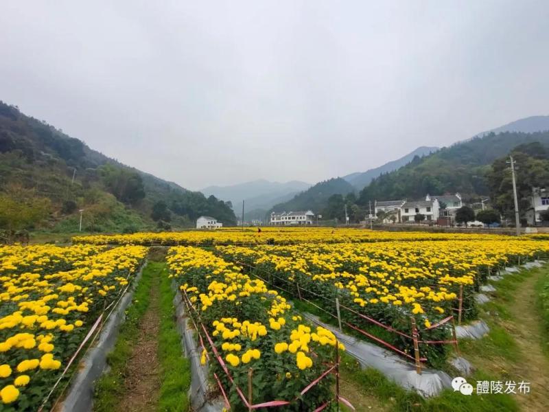 微信图片_20201103090824.jpg