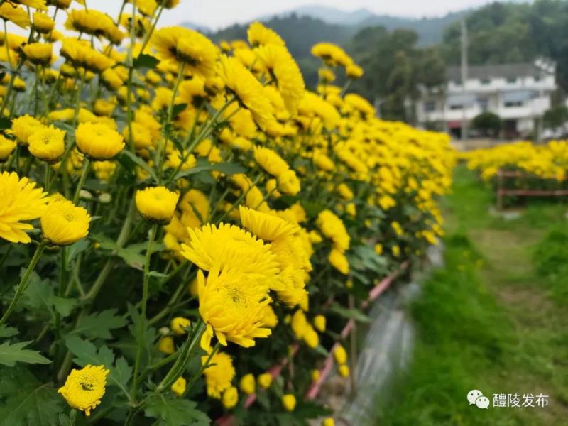 微信图片_20201103090842.jpg