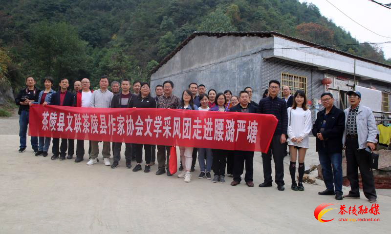 1604313104153-scj8kihq6ss.png