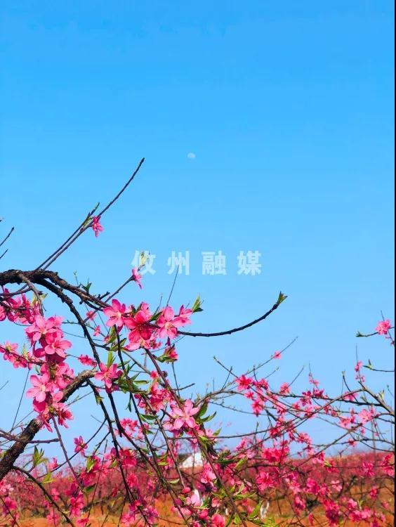 微信图片_20210225103506.jpg
