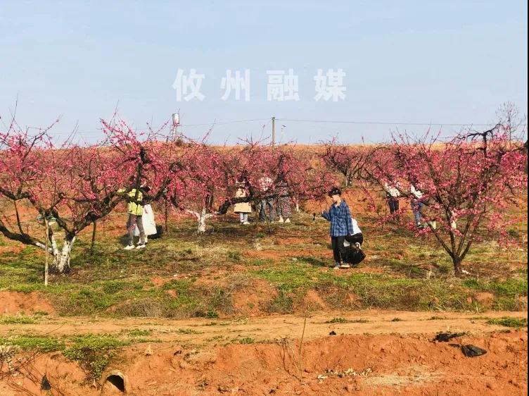 微信图片_20210225103458.jpg