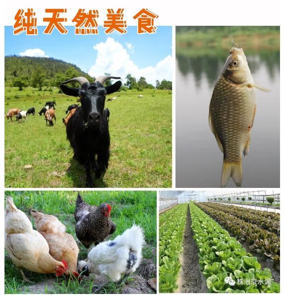 微信截图_20220301171302.jpg