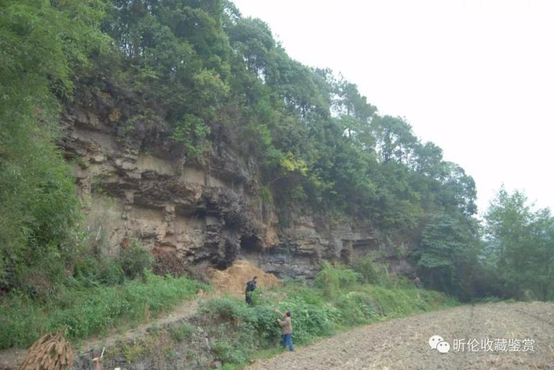 微信图片_20180702112051.jpg