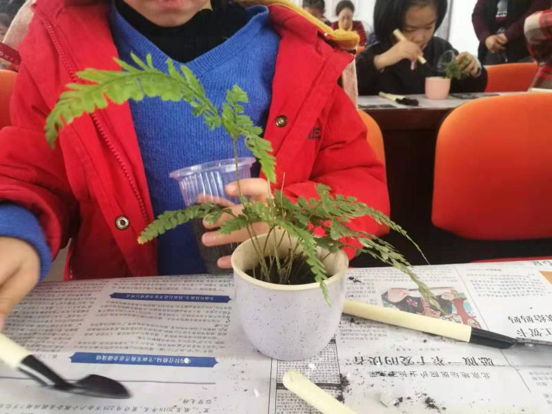微信图片_20190318083435.jpg