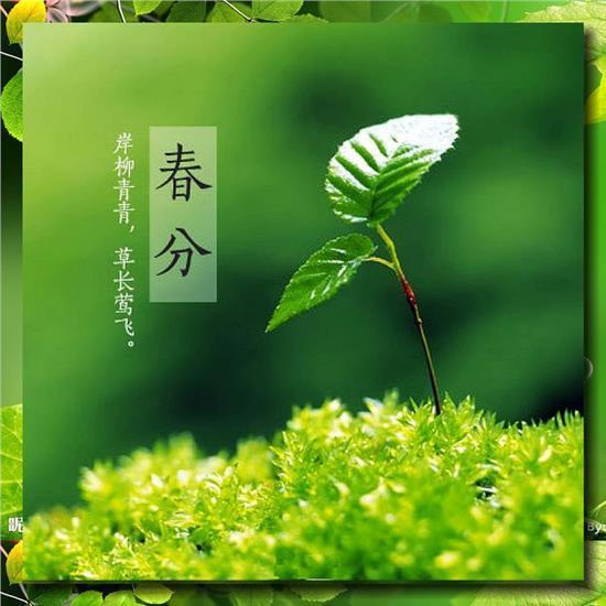 src=http_%2F%2Fimage.bitauto.com%2Fdealer%2Fnews%2F100006264%2Fd2b1208f-e002-46d2-b24e-d55b9f8fdfc8.jpg&refer=http_%2F%2Fimage.bitauto.jpg