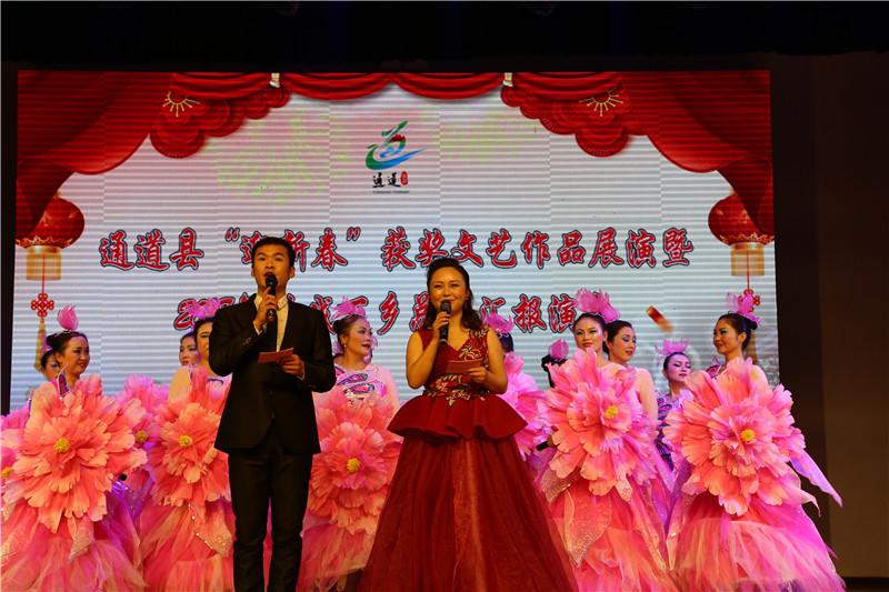 通道县“迎新春”获奖文艺作品展演暨2018年送戏下乡总结汇报演出现场.JPG