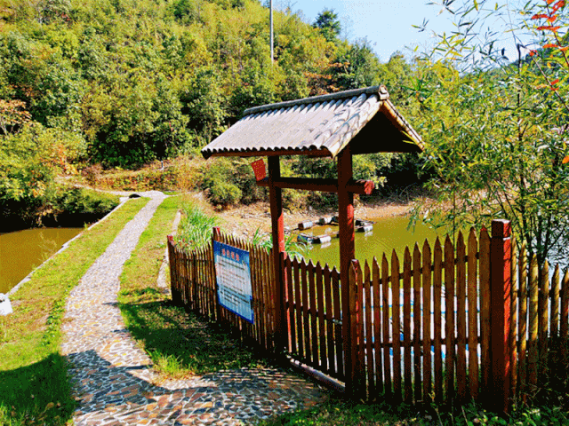 美哭枫溪谷首届乡村音乐季开启深秋赏枫胜地