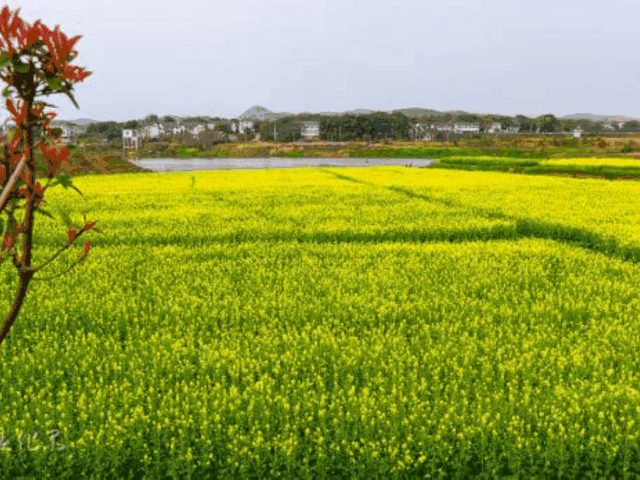 640_480gif 动态图 动图