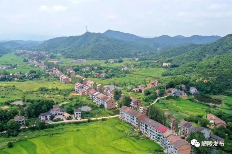 在探索新时代文明实践的路上,嘉树镇打出了自己的"特色牌",相信文明之